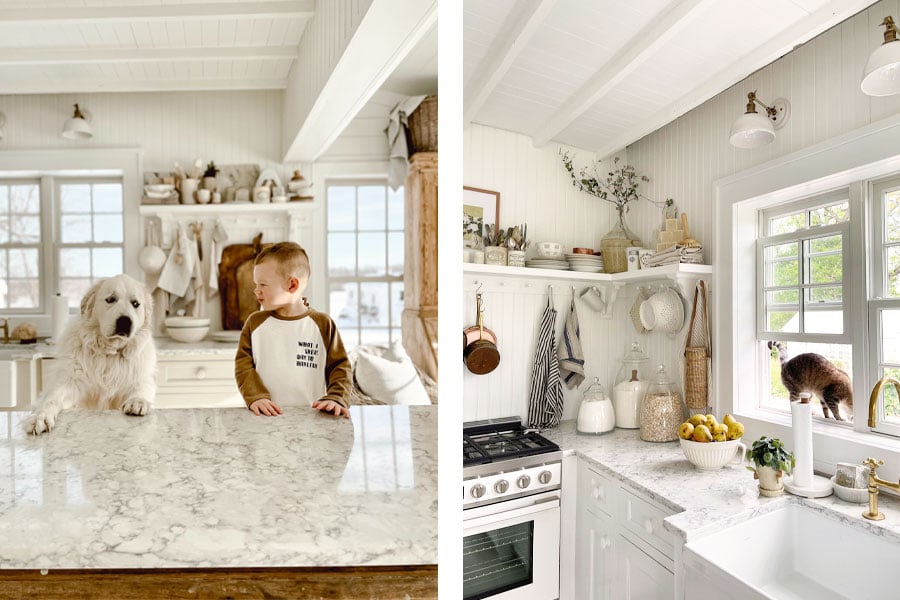 Boy, dog, and cat alike enjoy the sunlight and fresh breezes that come through the Andersen kitchen windows 